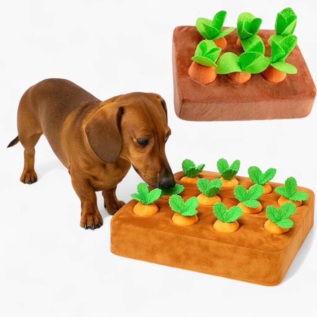 SnoutPatch Dachshund Carrot Puzzle Toy – Interactive Hide Seek Snuffle Game