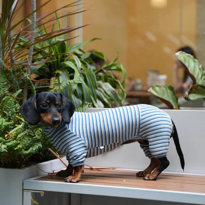 Dachshund High Neck Sweater – Soft Cashmere Striped Loungewear - Image 8
