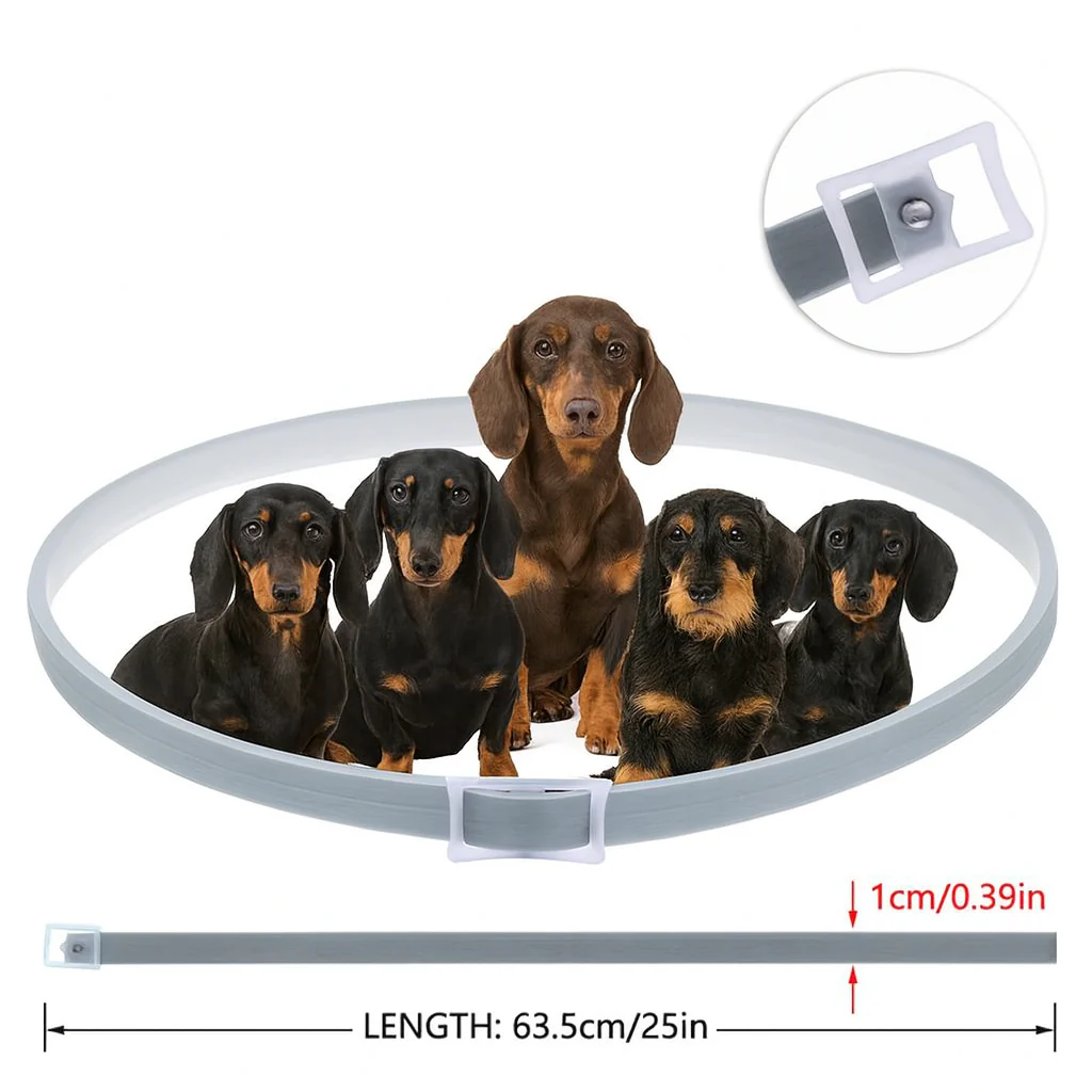 DEFEAX™ Dachshund Collar - Waterproof Pro Guard Flea Tick Collar - Image 3