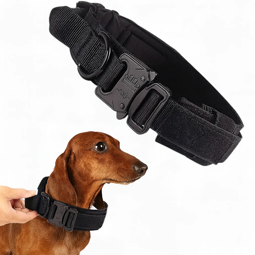 TactiPup™ Dachshund Tactical Collar Leash - Heavy-Duty Adjustable Dog Accessories