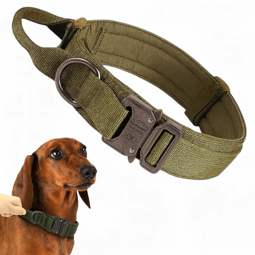 TactiPup™ Dachshund Tactical Collar Leash - Heavy-Duty Adjustable Dog Accessories - Image 3