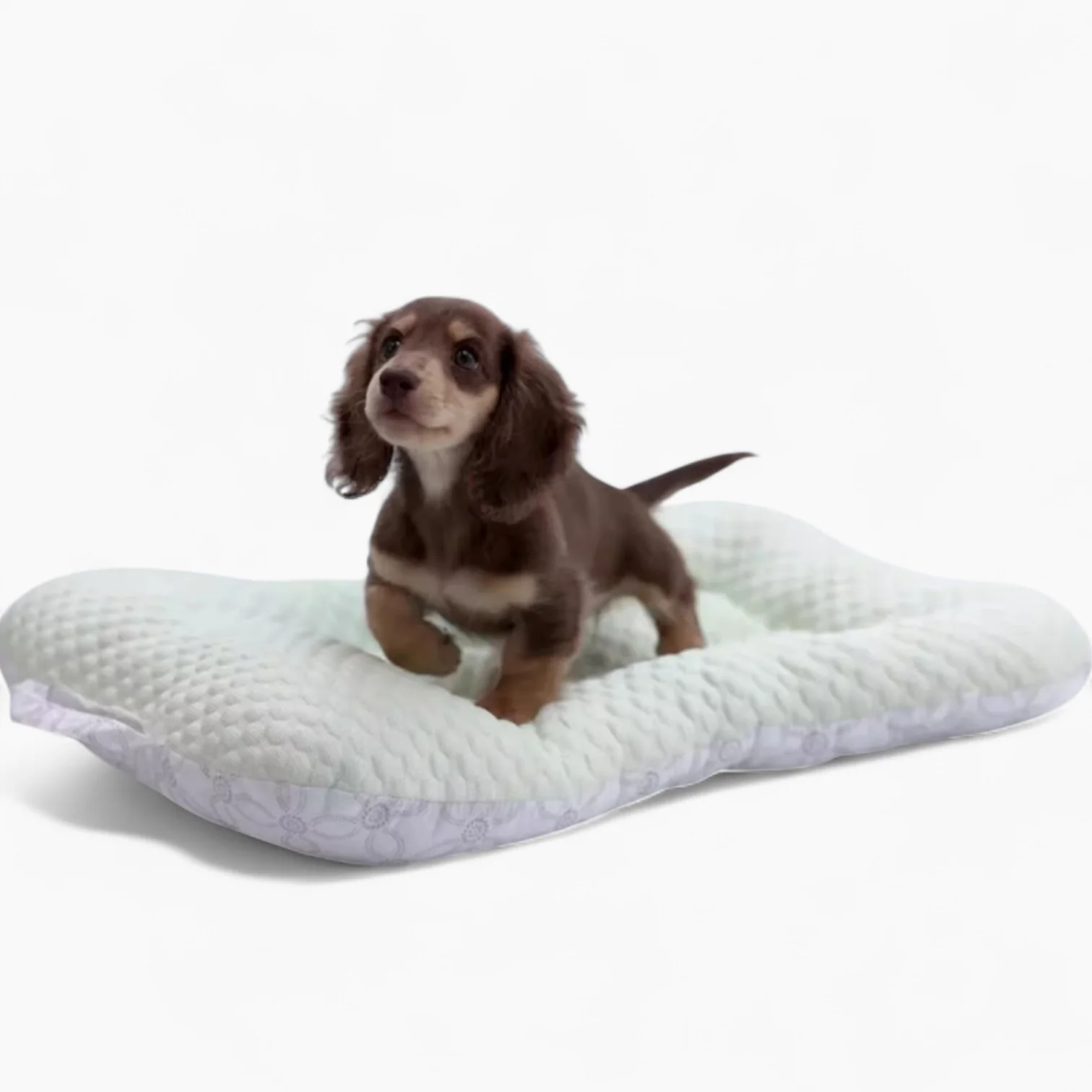 NipDox Dachshund Cooling Pad – 3D Ice Fiber Breathable Non-Shedding Bed - Image 3