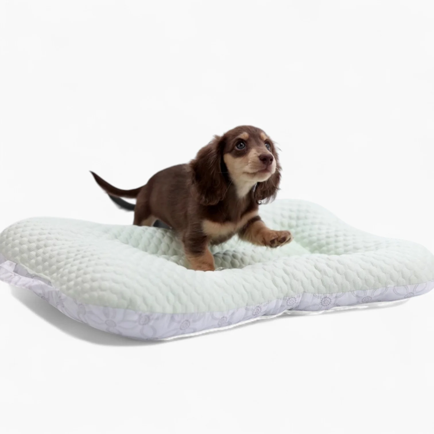 NipDox Dachshund Cooling Pad – 3D Ice Fiber Breathable Non-Shedding Bed - Image 7