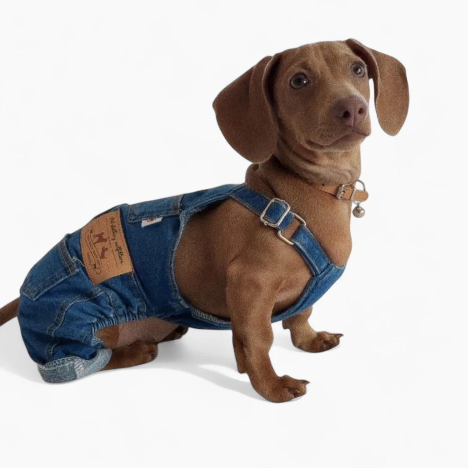 DeniDox Dachshund Denim Overalls – Soft Jean Clothes Pants Set
