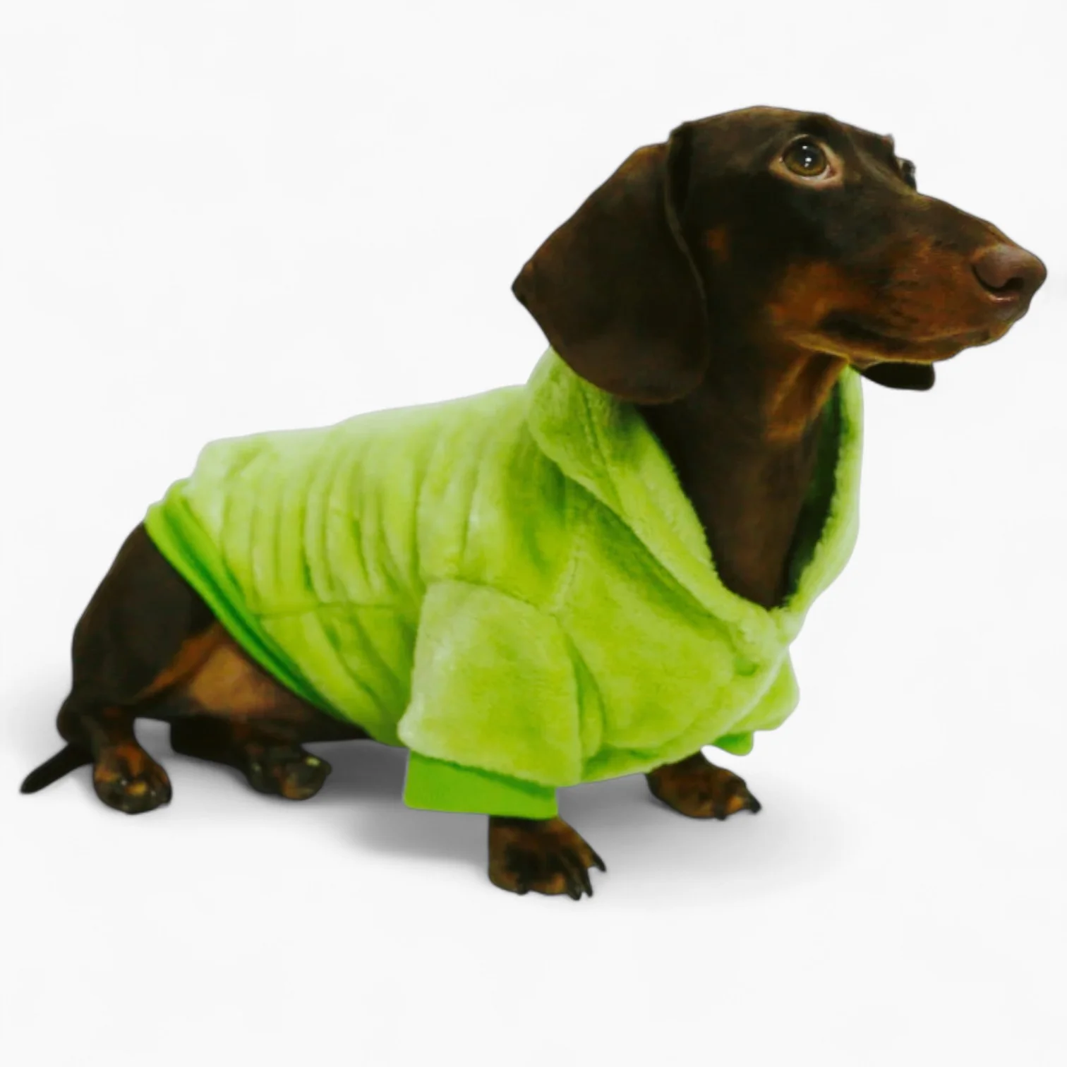 DinoPaw Dachshund Dinosaur Hoodie – Soft Winer Green Fleece Dog Coat - Image 4