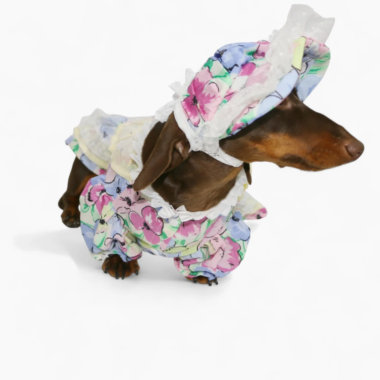 RetroLady Dachshund Dress Set – Vintage Floral Outfit with Matching Bonnet
