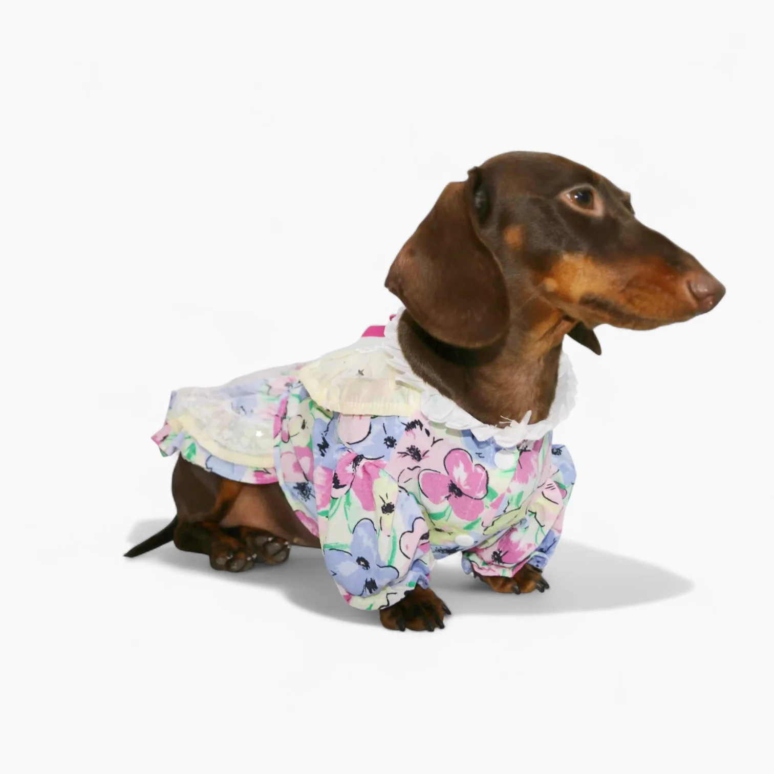 RetroLady Dachshund Dress Set – Vintage Floral Outfit with Matching Bonnet - Image 3