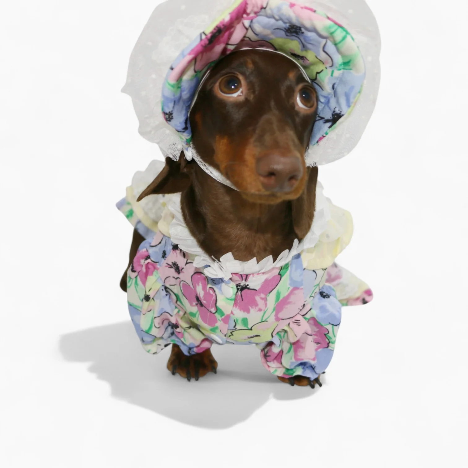 RetroLady Dachshund Dress Set – Vintage Floral Outfit with Matching Bonnet - Image 4