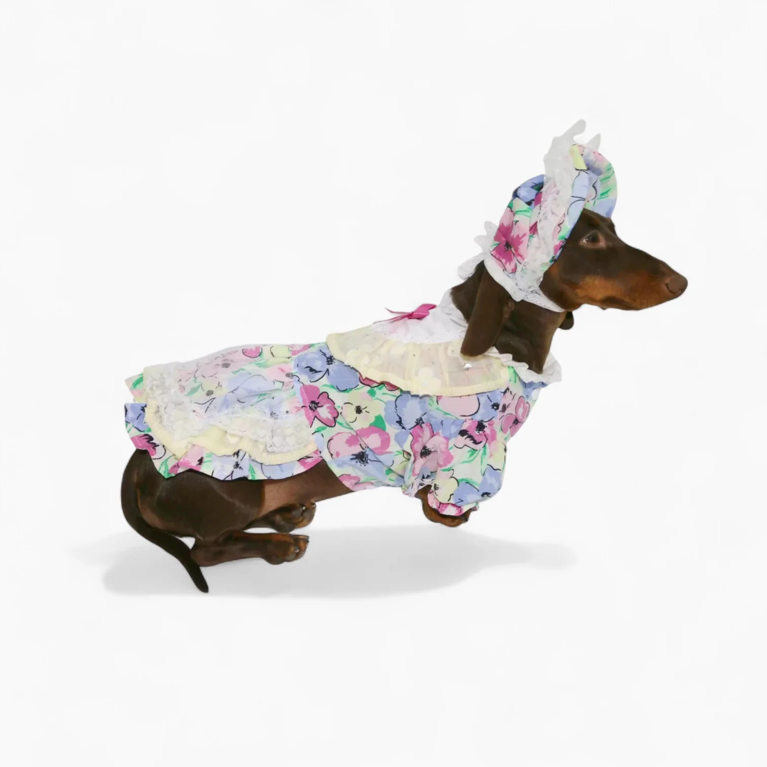 RetroLady Dachshund Dress Set – Vintage Floral Outfit with Matching Bonnet - Image 5