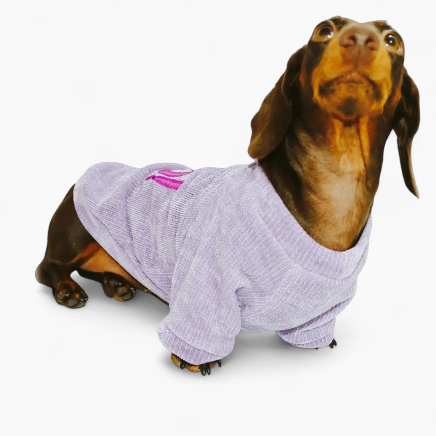 PawBerry Dachshund Fleece Sweater – Thick Winter Warm Dog Clothe - Image 3