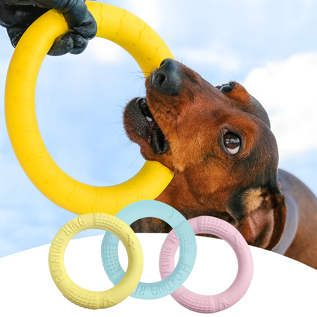 PulliPaw Dachshund Flying Ring Toy – Interactive Training Ring Chew Disk - Image 3