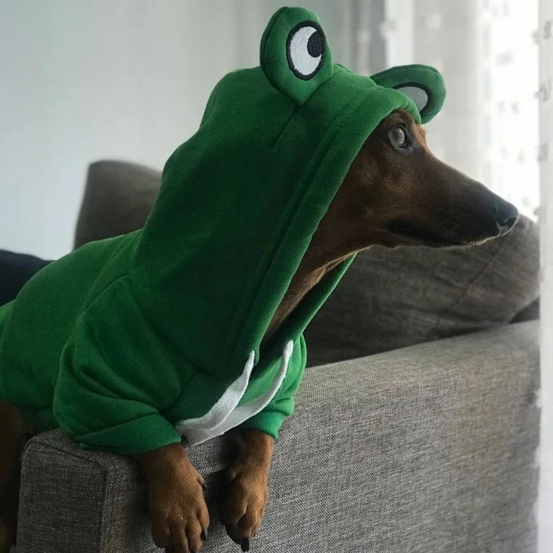 Dachshund Frog Hoodie Warm Doxie Sweatshirt - Image 4