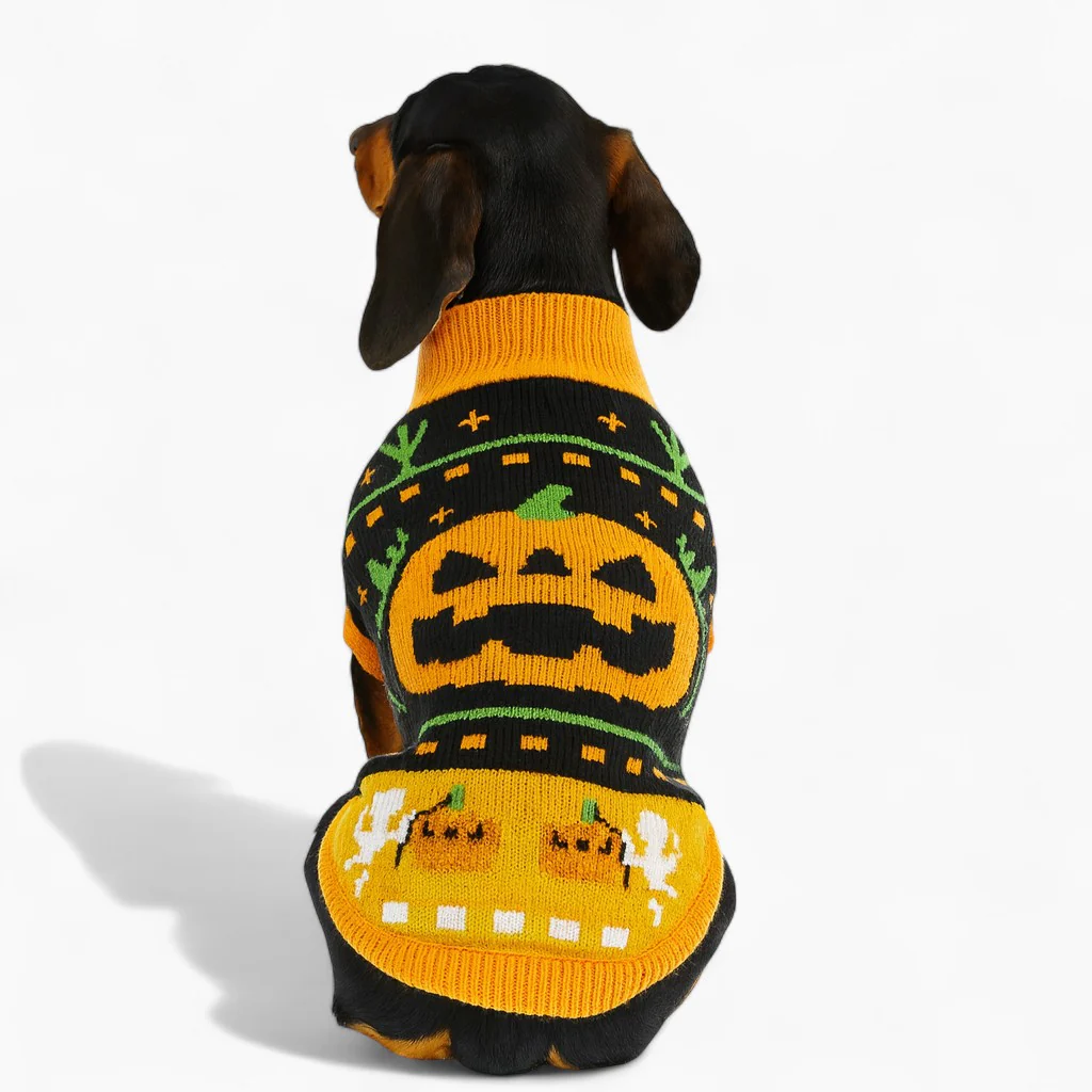 SpookPup Dachshund Halloween Sweater – Soft Pumpkin Knit Dog Costume - Image 3