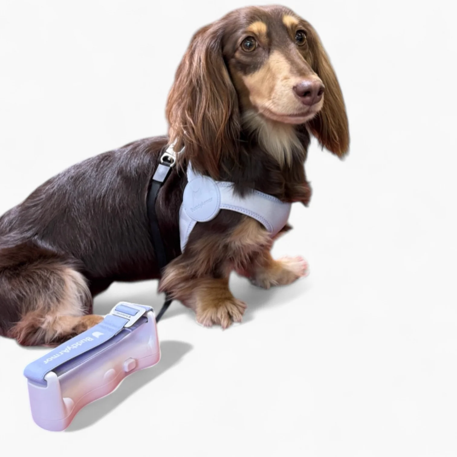 SoftFit Dachshund Harness and Leash – Ultra-Comfy No-Pull Design - Image 13