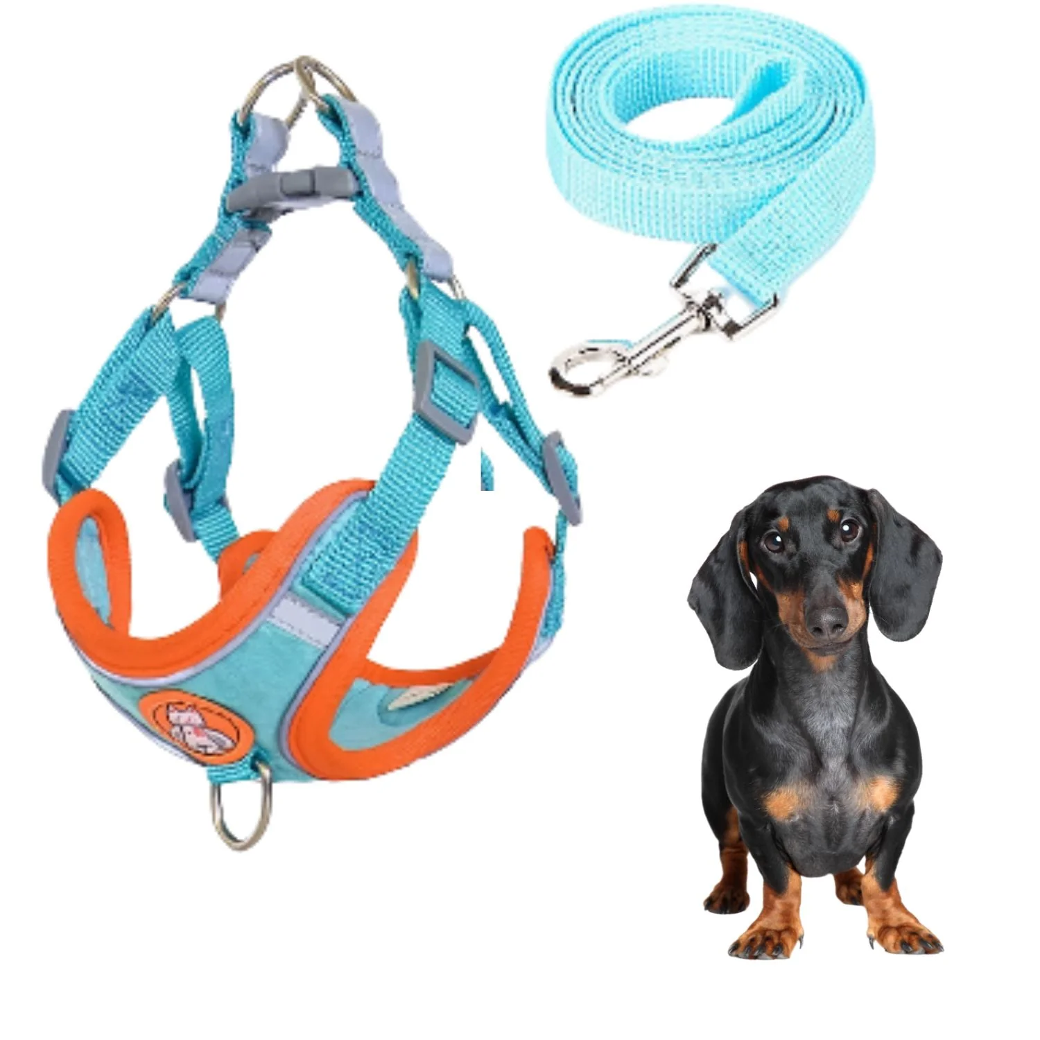 Dachshund Harness Leash Set – Adjustable Soft Vest No-Pull