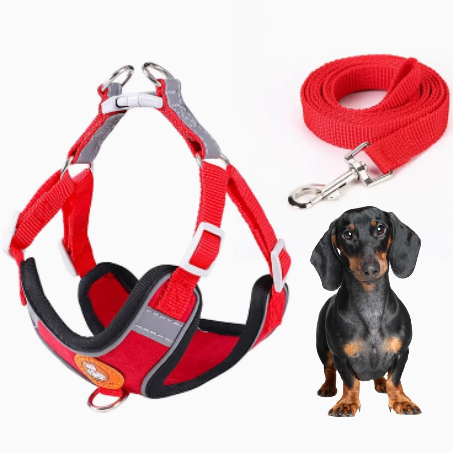 Dachshund Harness Leash Set – Adjustable Soft Vest No-Pull - Image 3