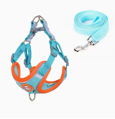 Dachshund Harness Leash Set – Adjustable Soft Vest No-Pull - Image 4