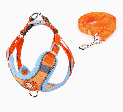 Dachshund Harness Leash Set – Adjustable Soft Vest No-Pull - Image 5