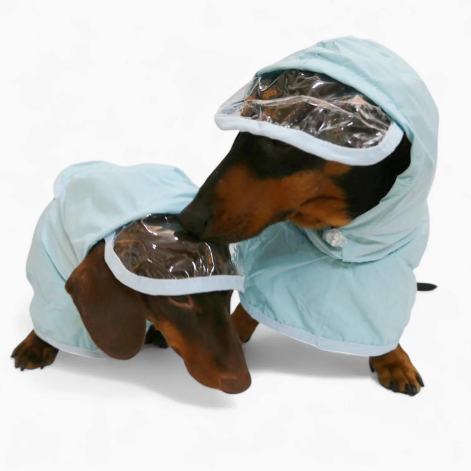AquaDox Dachshund Hooded Raincoat – Soft Breathable Summer Waterproof Coat - Image 3