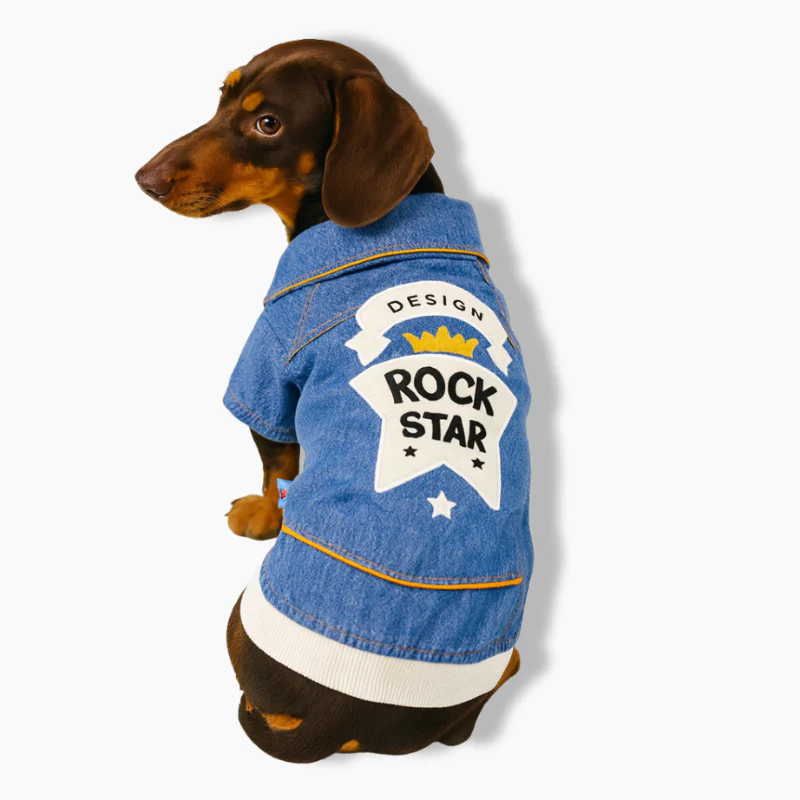 DenimPaw Dachshund Hoodie Jacket – Soft Fashion Jeans Coat for Dogs - Image 2