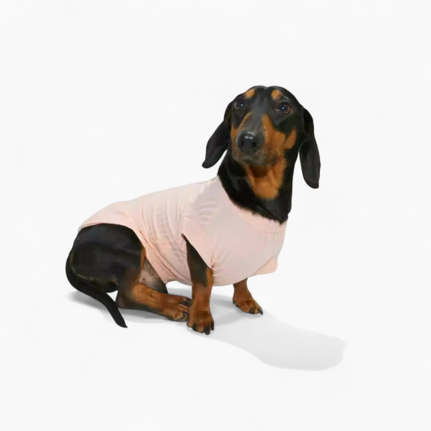 IcyTail Dachshund Ice-Silk Shirt – Ultra-Light Breathable Comfort Summer Outfit - Image 3