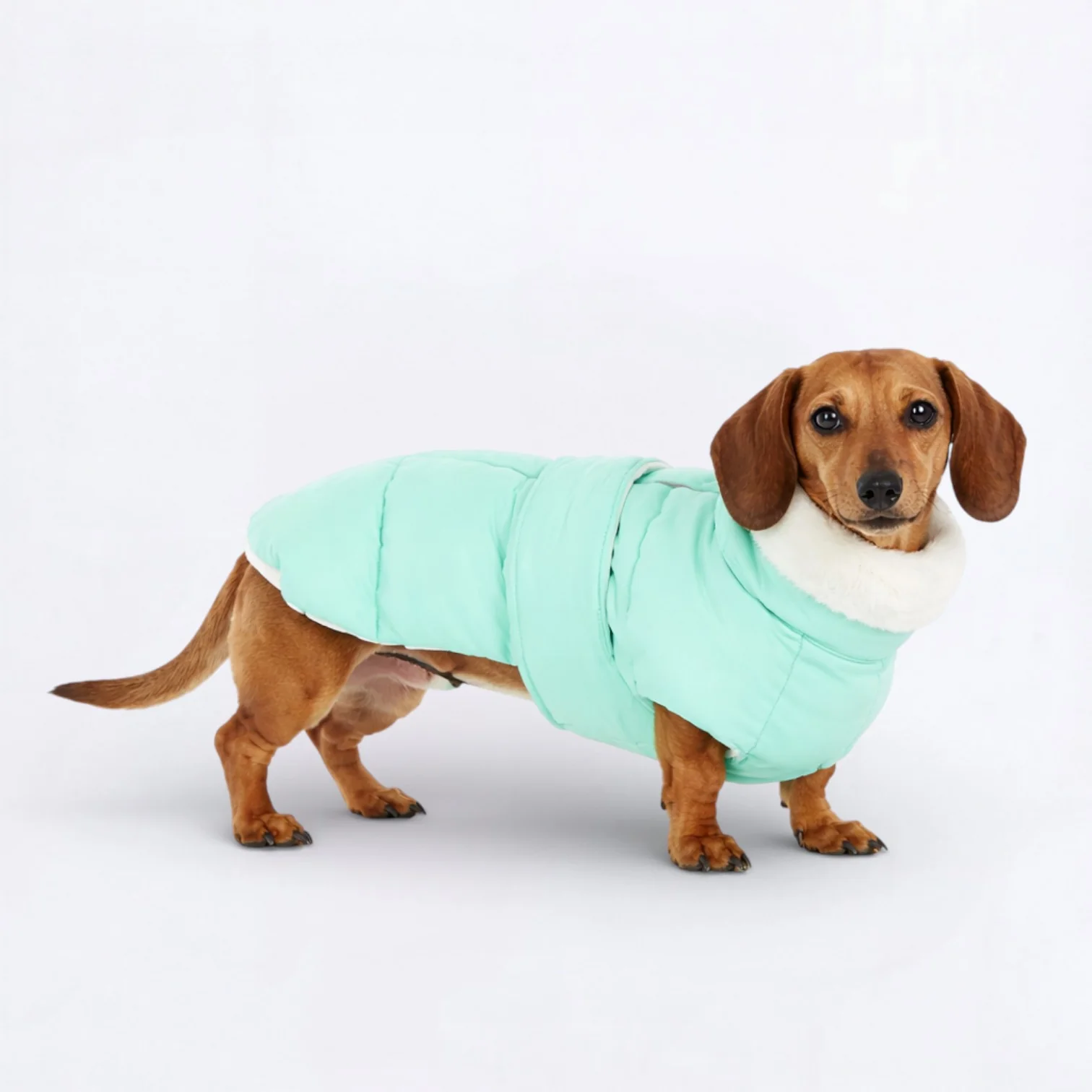 SnugglePup Dachshund Winter Vest – Cozy Cotton-Padded Jacket - Image 4