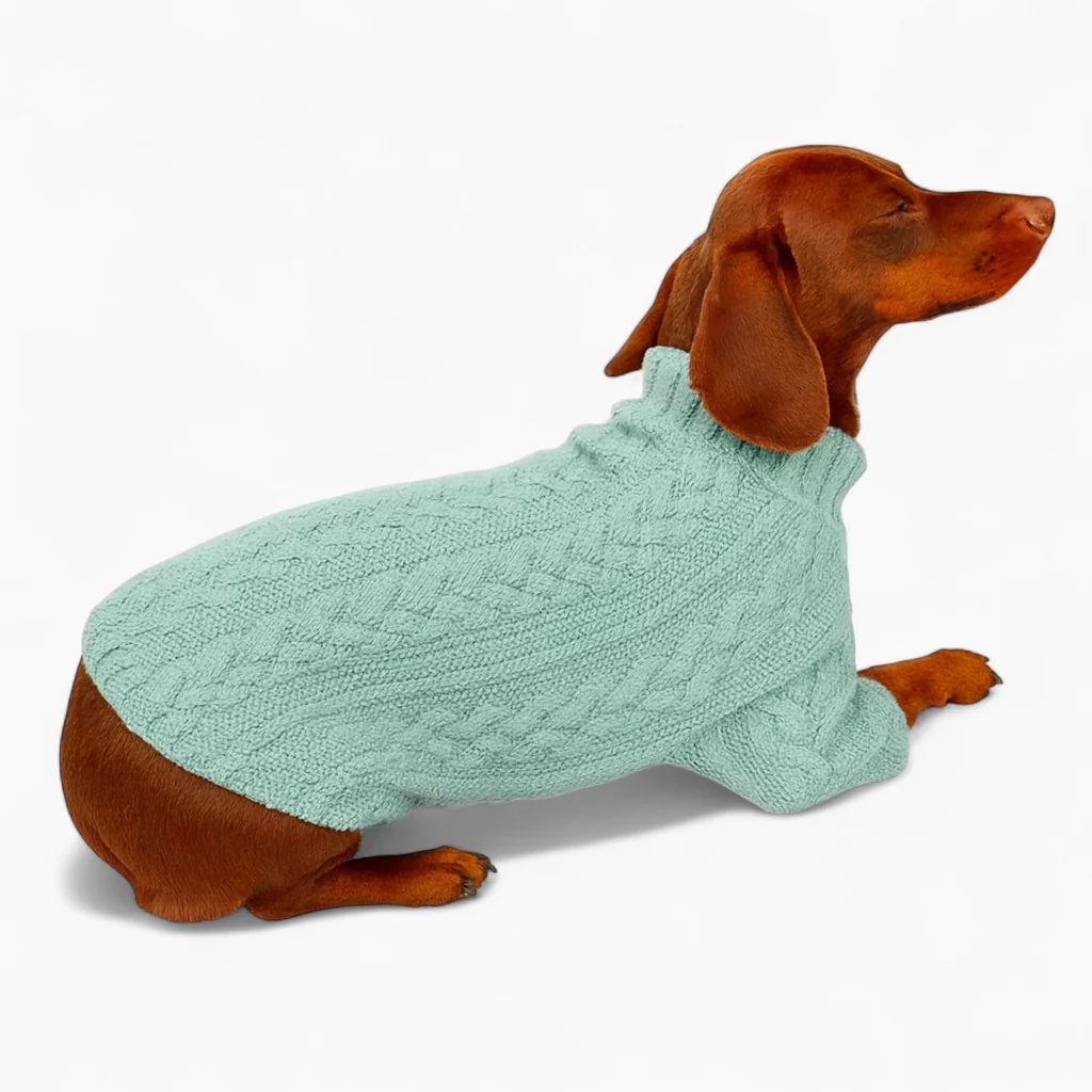 WinPaw Dachshund Knit Sweater – Winter Warm Turtleneck Dog Clothe