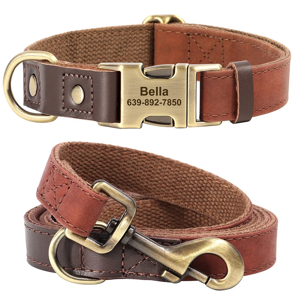 Dachshund Leather Collar with Leash – Personalized Engraved ID Adjustable - Image 10