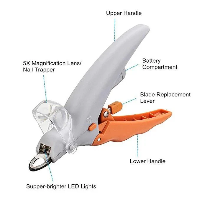 TrimPaw™ Dachshund LED Nail Trimmer – Safe Precise Grooming Clipper - Image 3
