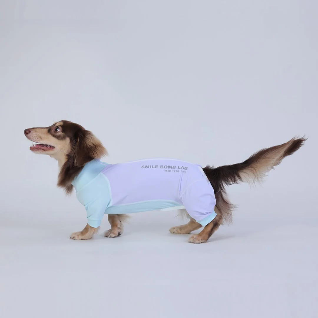 DoxieFur Dachshund Pajamas – Insect Repellent Full-Body Protective Clothing - Image 3