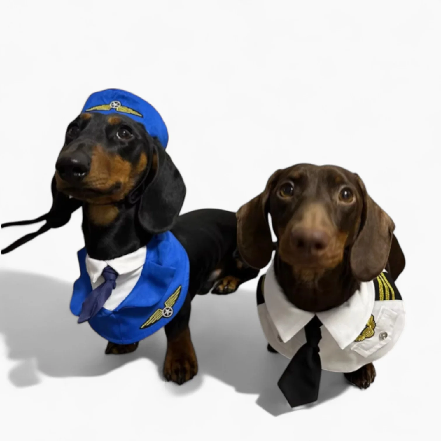 CaptainPaws Dachshund Pilot Costume – Halloween Cosplay Transformation Outfit - Image 4