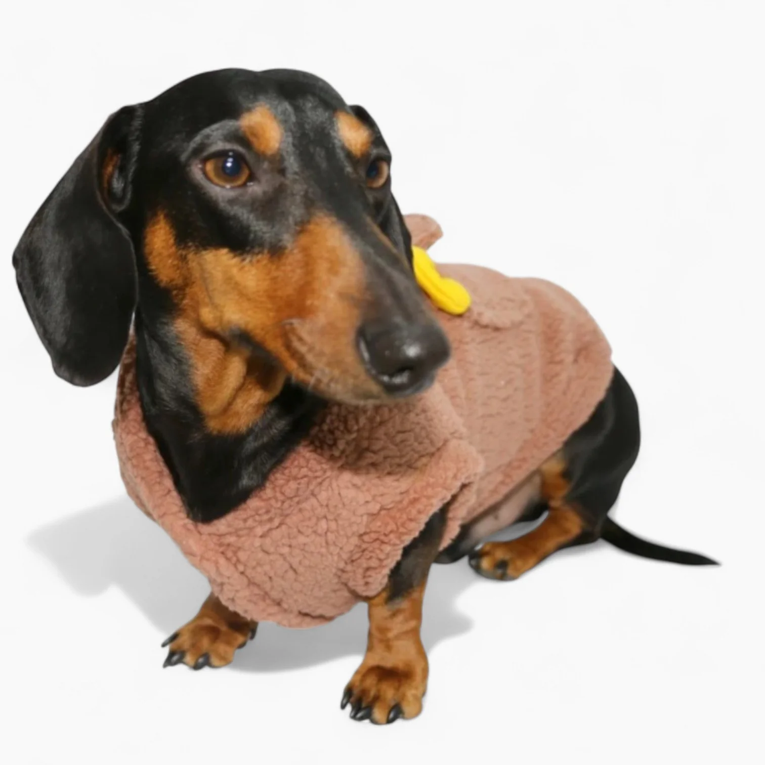 DoxiDrobe Dachshund Plush Vest – Fleece Winter Loungewear with Ears Pocket Design - Image 3