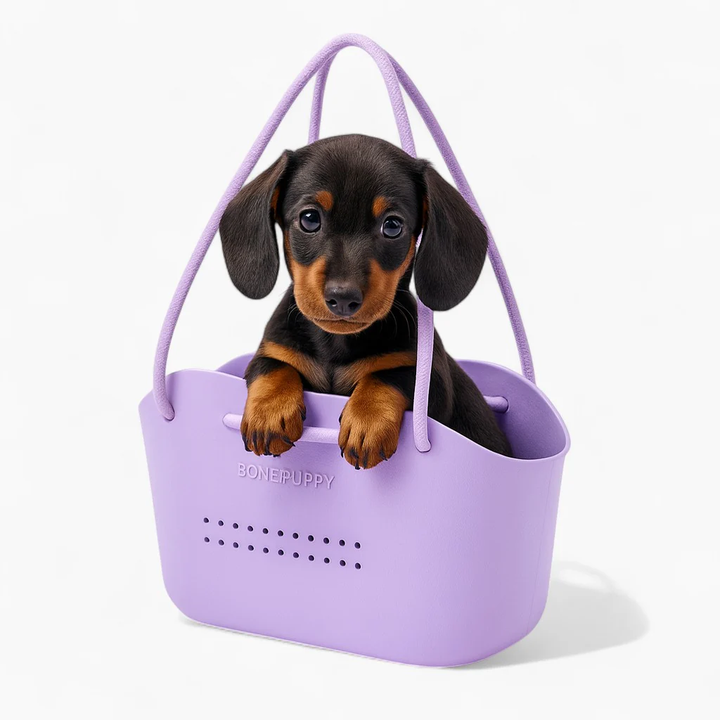 BonePup Dachshund Portable Carrier – EVA One-Shoulder Outing Bag - Image 11