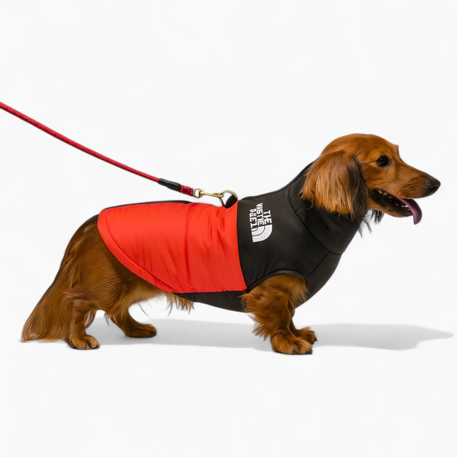 DoxPeak Dachshund Puffer Jacket – Waterproof Winter Dog Coat with Built-in D-Ring