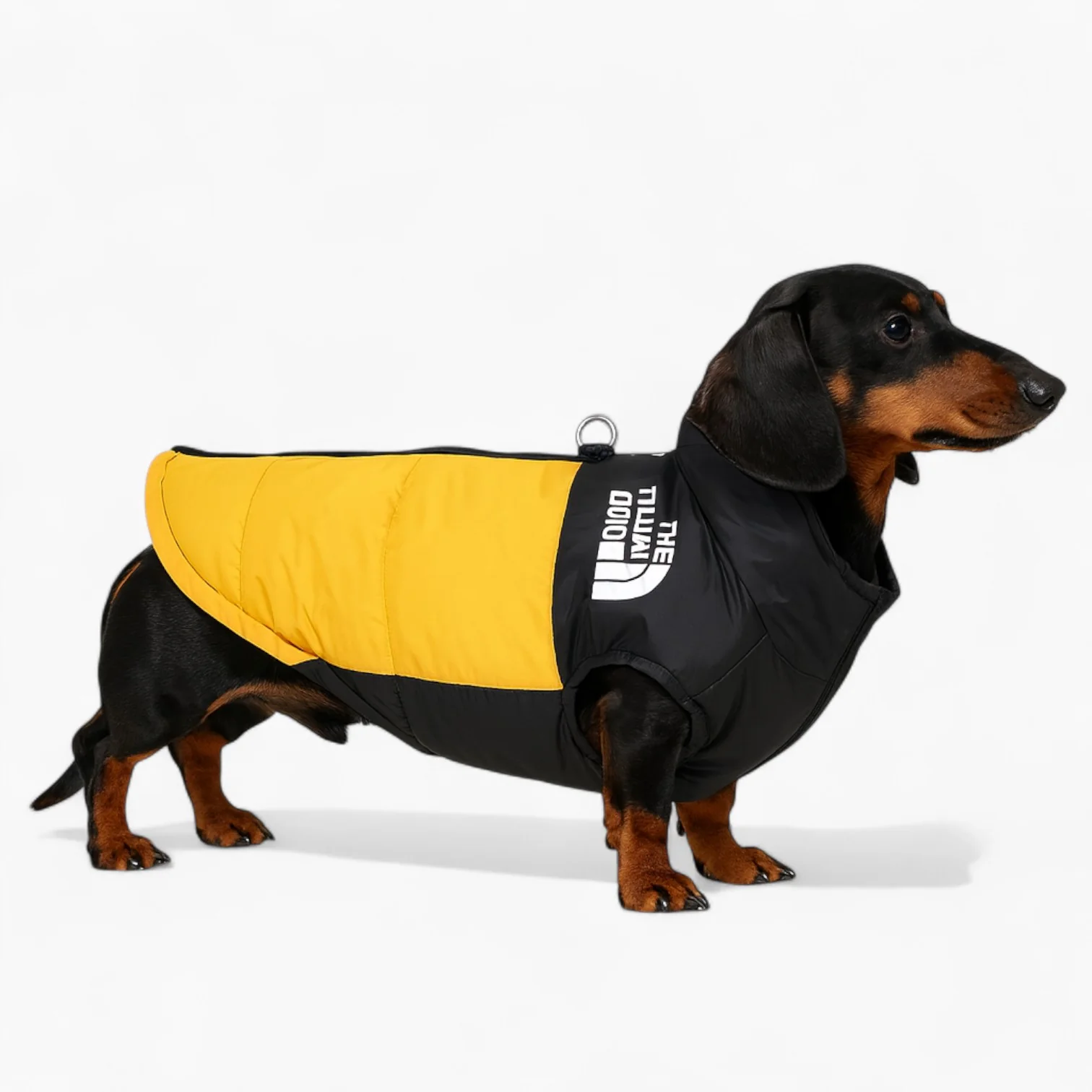 DoxPeak Dachshund Puffer Jacket – Waterproof Winter Dog Coat with Built-in D-Ring - Image 4
