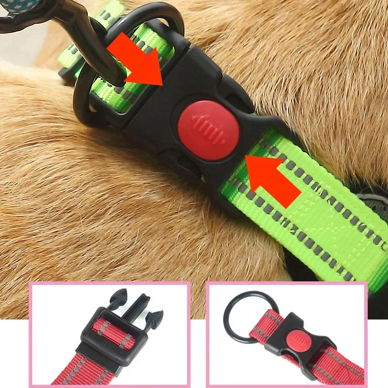 HexaPaw Dachshund Reflective Collar – Breathable Padded Dog Collar - Image 10