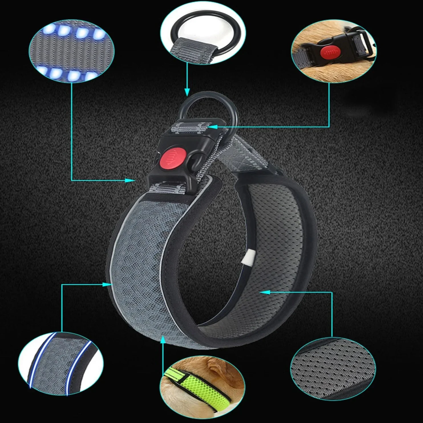 HexaPaw Dachshund Reflective Collar – Breathable Padded Dog Collar - Image 13