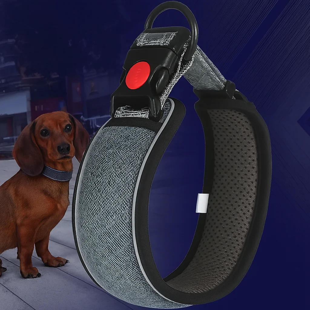 HexaPaw Dachshund Reflective Collar – Breathable Padded Dog Collar - Image 14