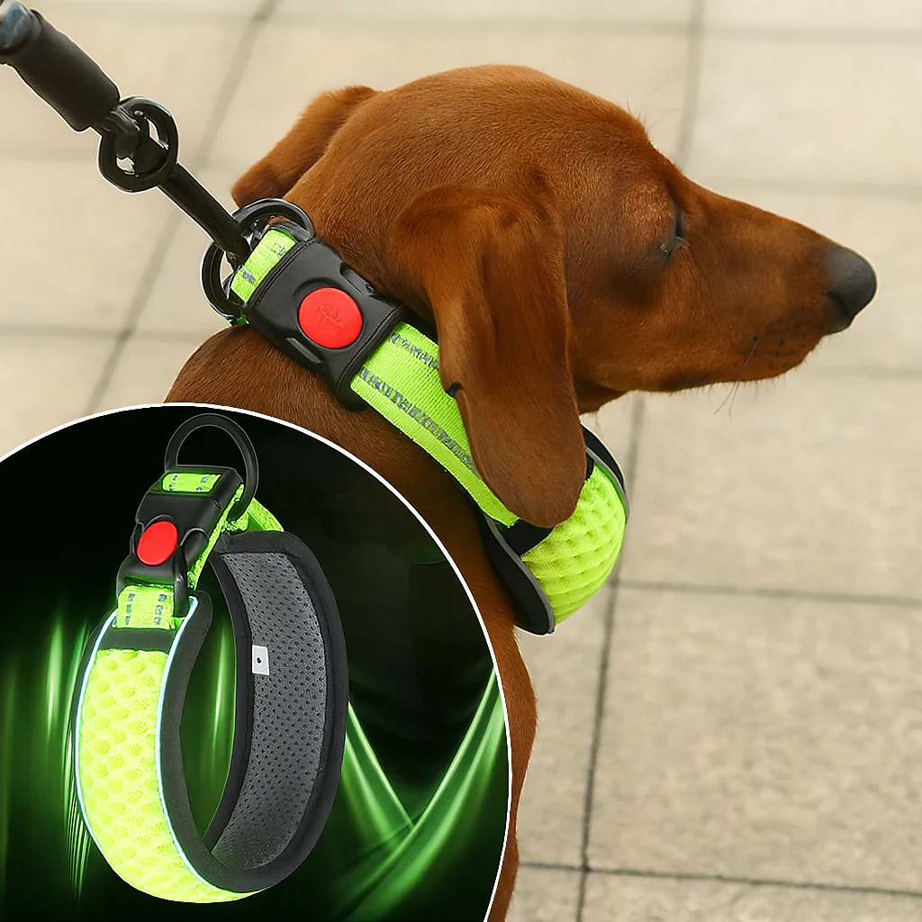 HexaPaw Dachshund Reflective Collar – Breathable Padded Dog Collar - Image 15