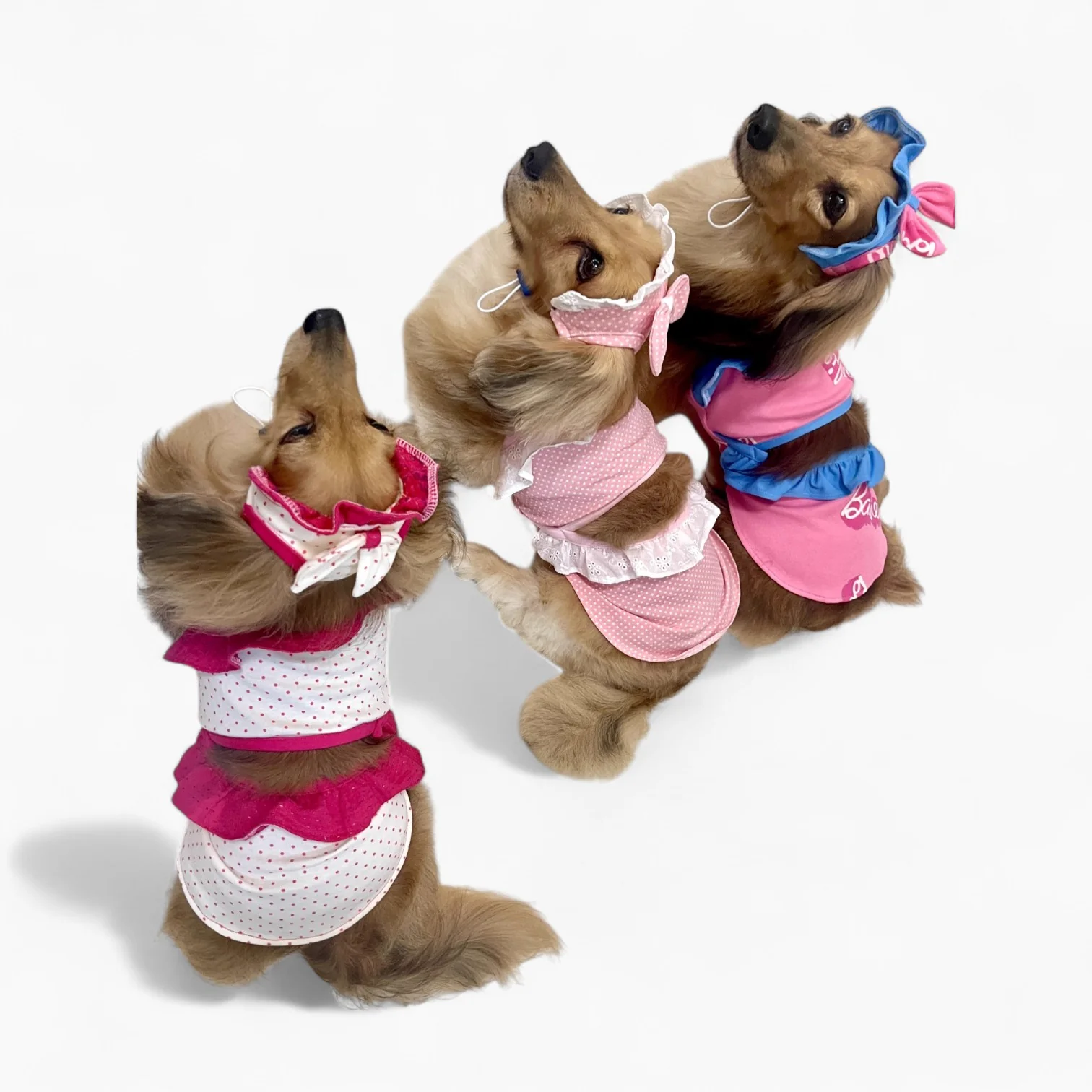 GlamPup Dachshund Ruffle Dress Set – Cute Frilly Outfit with Matching Bonnet - Image 7