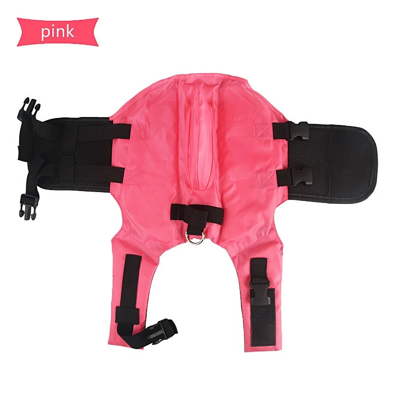 Dachshund Shark Vest for Playful Pups - Image 10