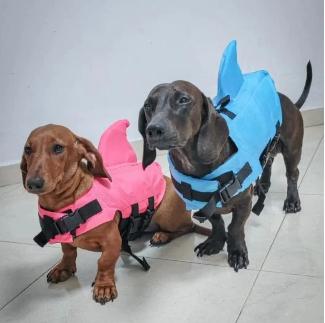 Dachshund Shark Vest for Playful Pups - Image 6