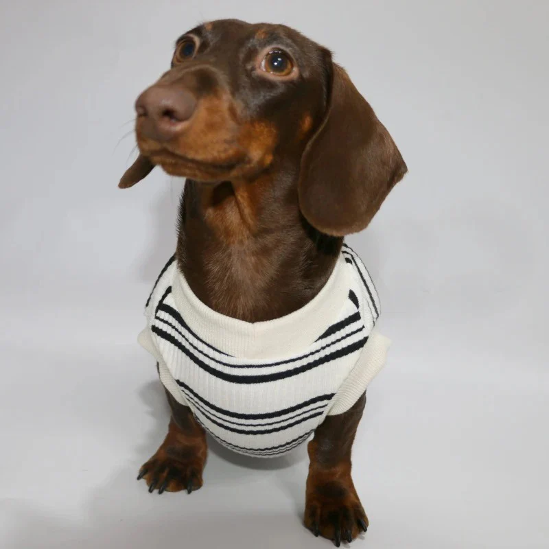 Dachshund Sleeveless Shirt – Lightweight Cooling Striped Summer Vest - Image 3