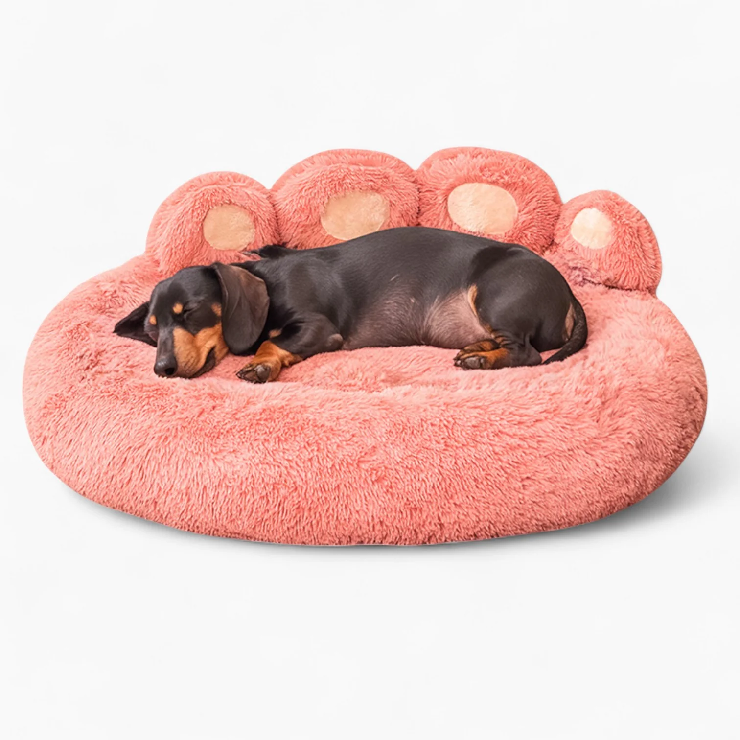 DachRest Dachshund Sofa Bed – Plush Fabric Supportive Design for Compact Bodies