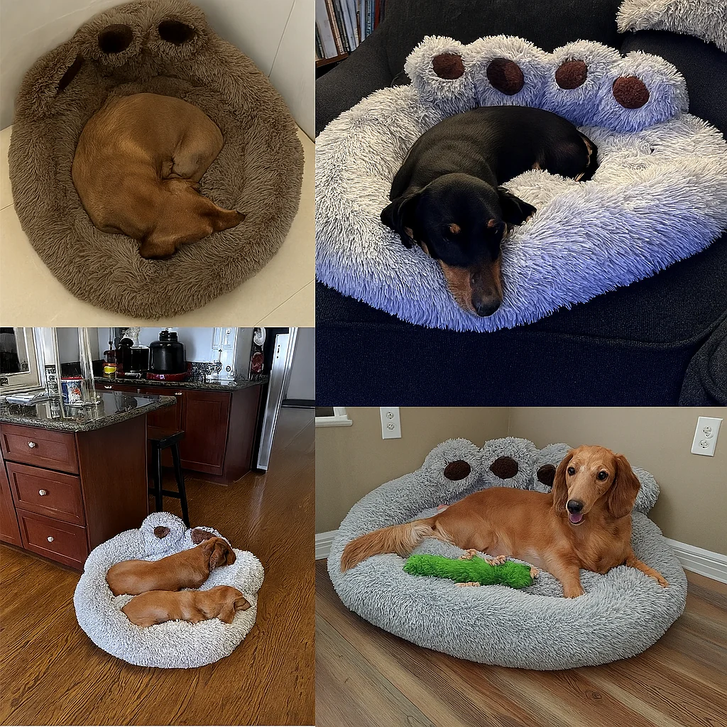 DachRest Dachshund Sofa Bed – Plush Fabric Supportive Design for Compact Bodies - Image 13