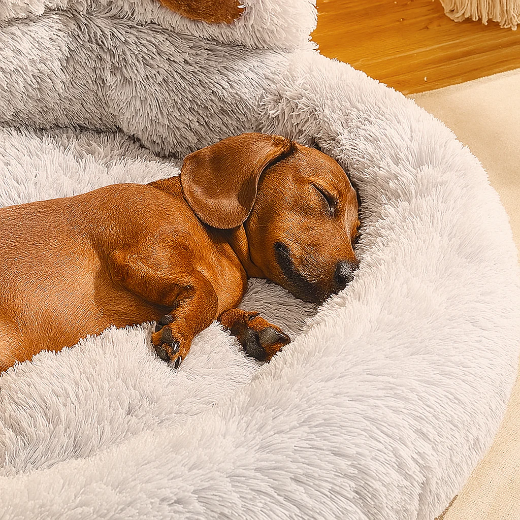 DachRest Dachshund Sofa Bed – Plush Fabric Supportive Design for Compact Bodies - Image 8