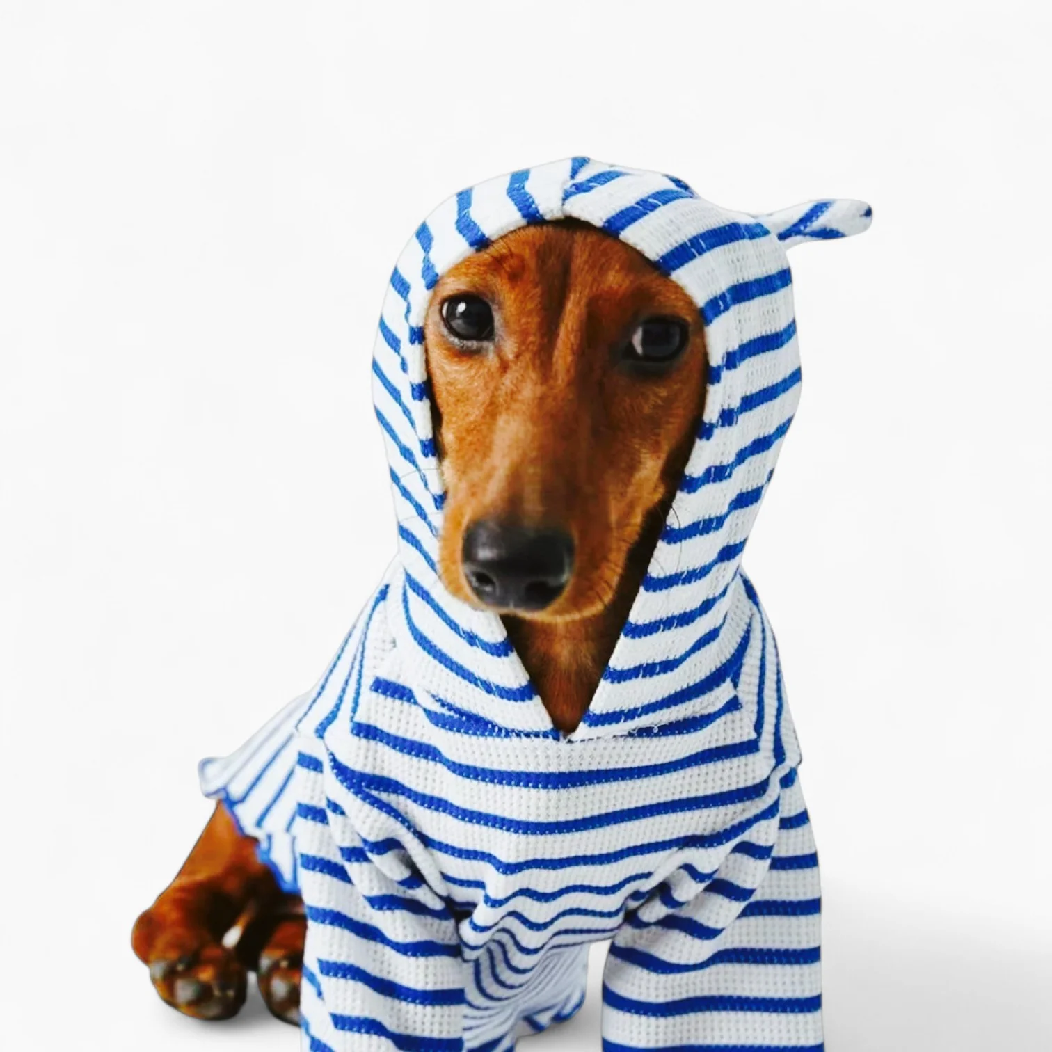 StripeTail Dachshund Striped Hoodie – Long Sleeve High Neck Dog Shirt - Image 3