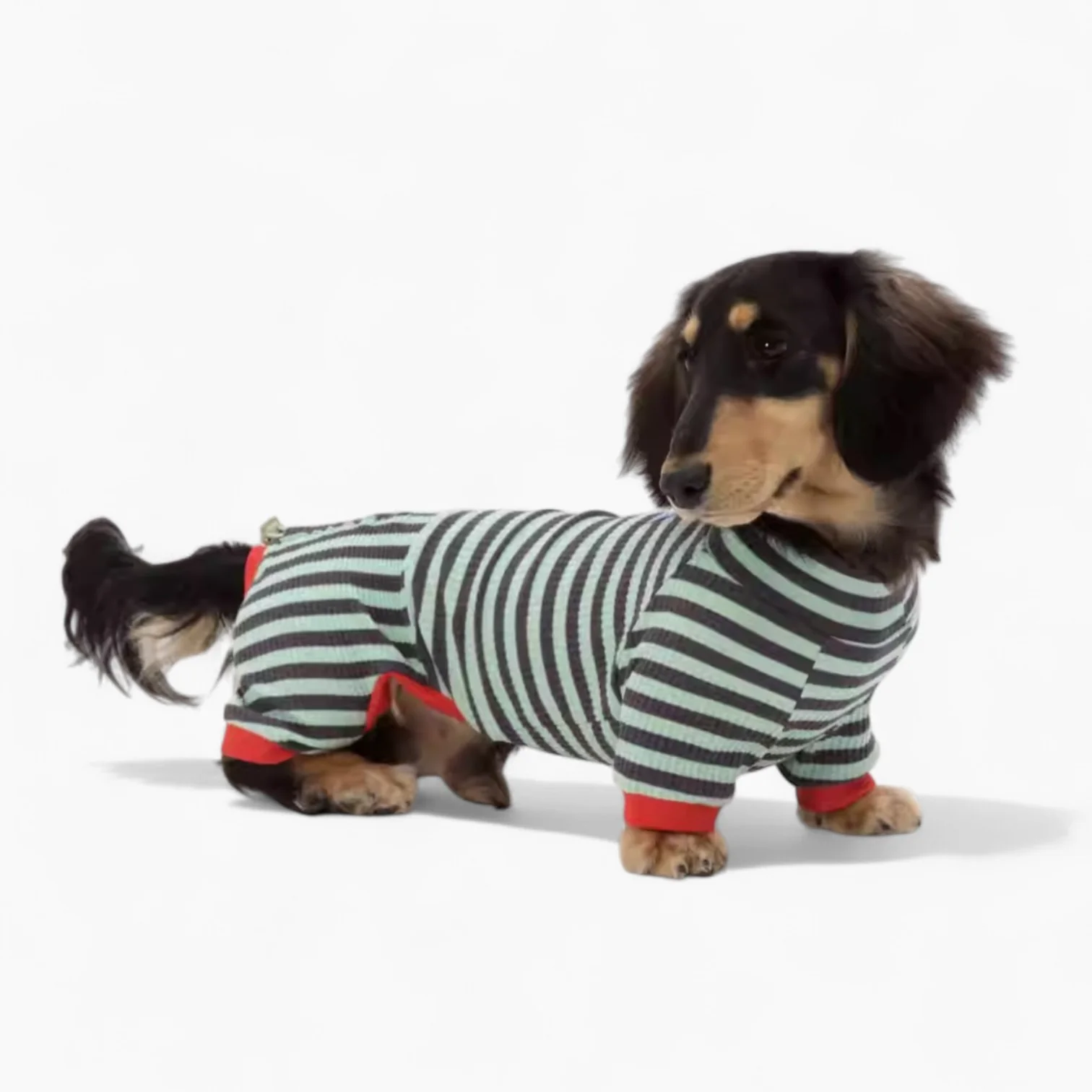 LounJee Dachshund Striped Jumpsuit – Lightweight Four-Leg Summer Loungewear - Image 2