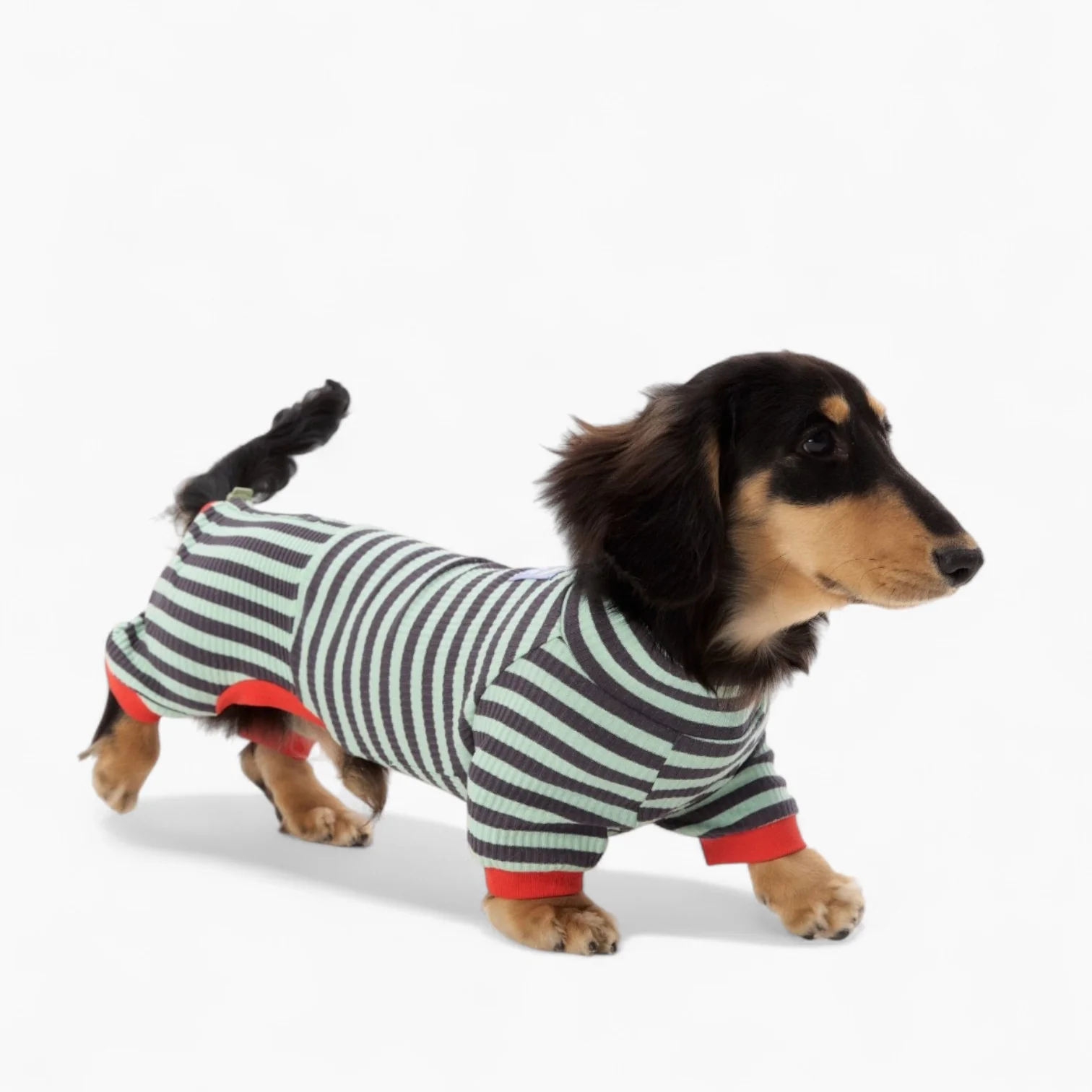 LounJee Dachshund Striped Jumpsuit – Lightweight Four-Leg Summer Loungewear - Image 4