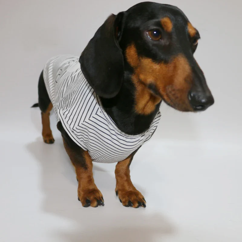 Dachshund Striped T-shirt – Lightweight Soft Cotton Cartoon Vest - Image 2